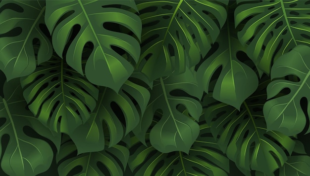 Tropical jungle Monstera leaves pattern