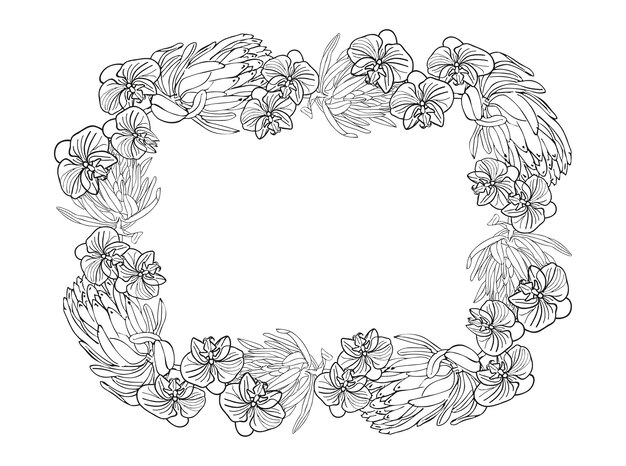 Тропическая королевская протеа и орхидея цветочная линия художественная рамка бордёр ручно нарисованный эскиз цветочная голова в черно-белом цвете векторный фон для карты или приглашения