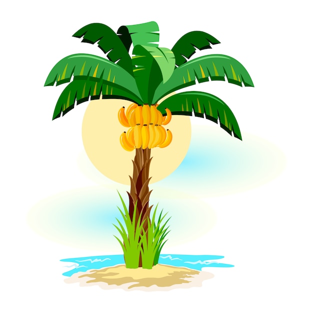 Vettore paesaggio tropicale con cielo soleggiato, palme sulla spiaggia. vacanze estive ai tropici.