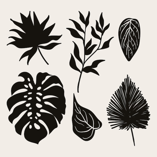 Tropical leaf collection with silhouette style