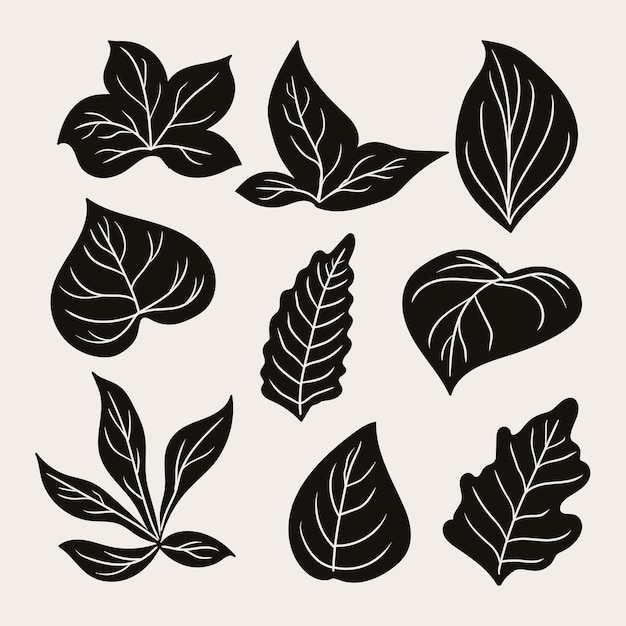 Tropical leaf collection with silhouette style