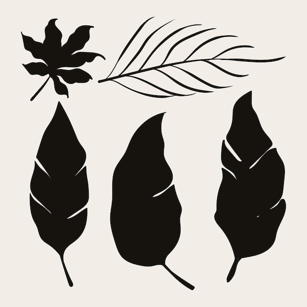 Tropical leaf collection with silhouette style