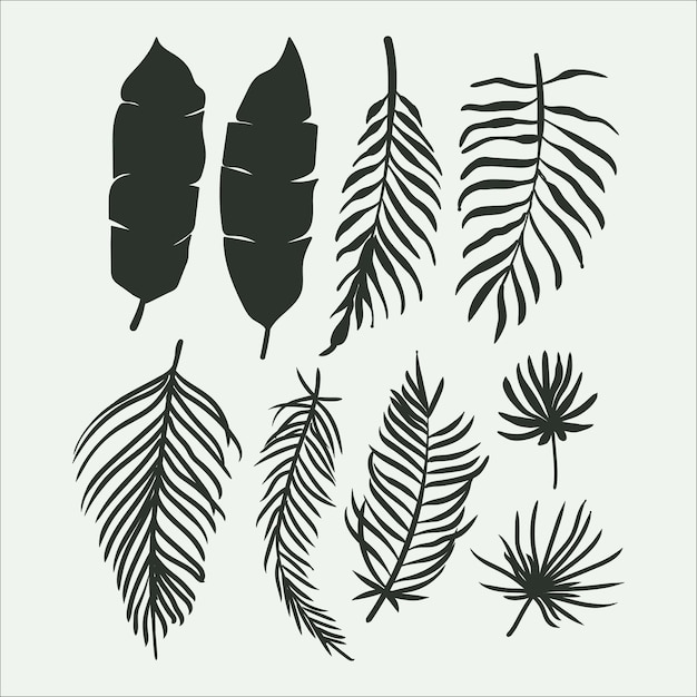 Tropical leaf collection with silhouette style