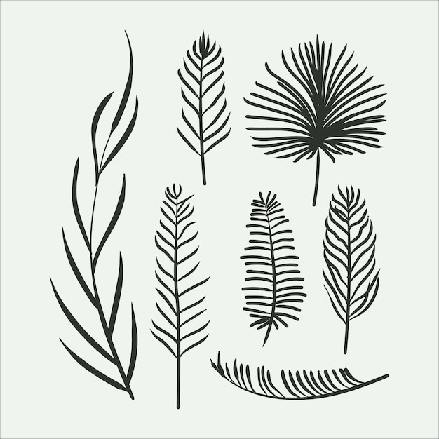 Vector tropical leaf collection with silhouette style