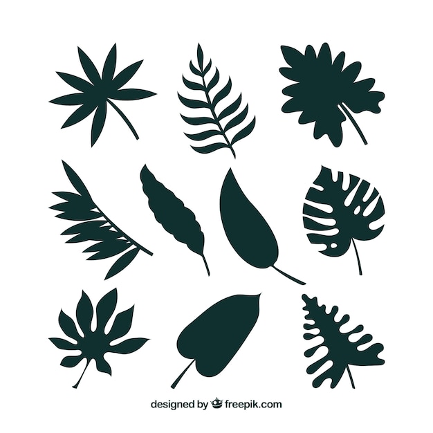 Vector tropical leaf collection with silhouette style