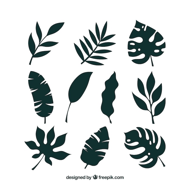 Vector tropical leaf collection with silhouette style