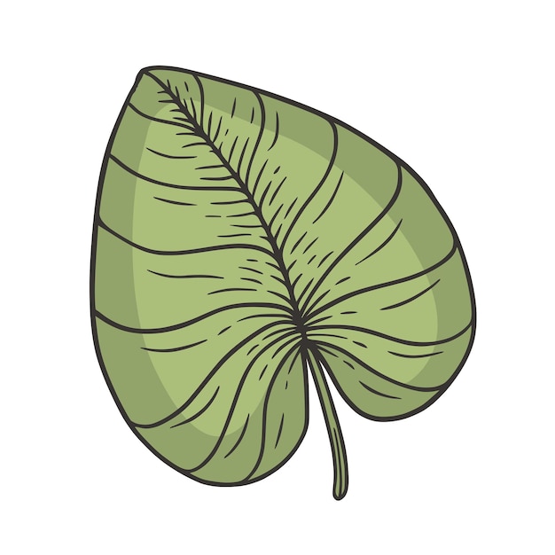 Tropical Leaf Doodle Vector Illustration