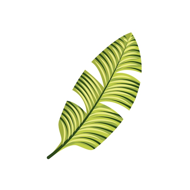 Vector tropical leaf icon