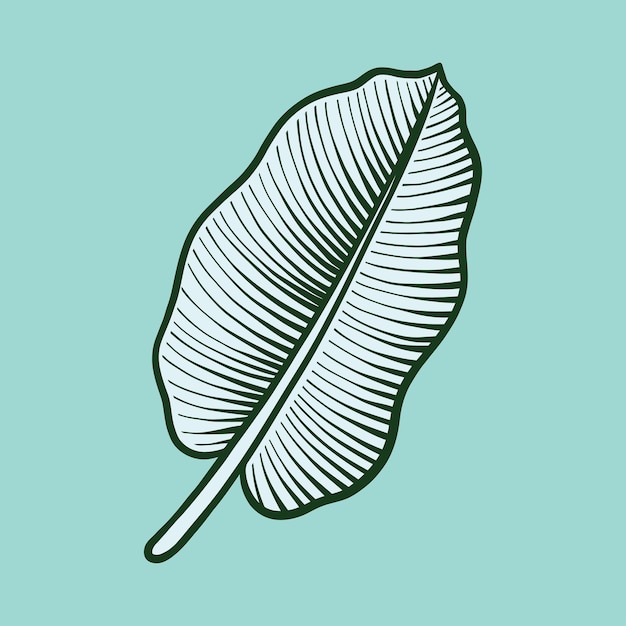 Tropical Leaf Illustration Vector Pack