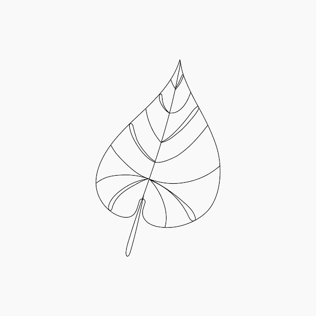 Vector tropical leaf line art