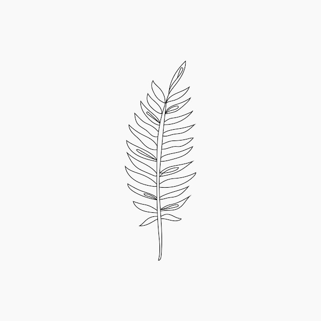 Tropical leaf line art