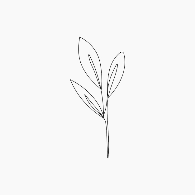 Tropical Leaf Line Art