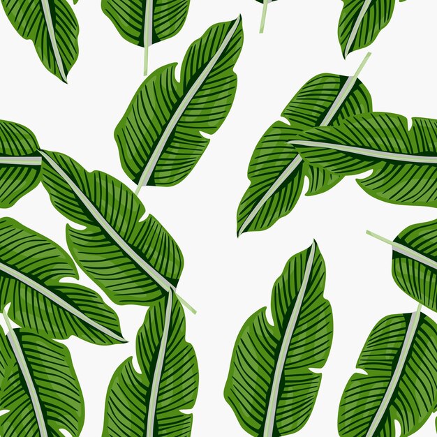 Tropical leaf seamless pattern Exotic leaves background Jungle plants endless wallpaper Rainforest floral hawaiian backdrop