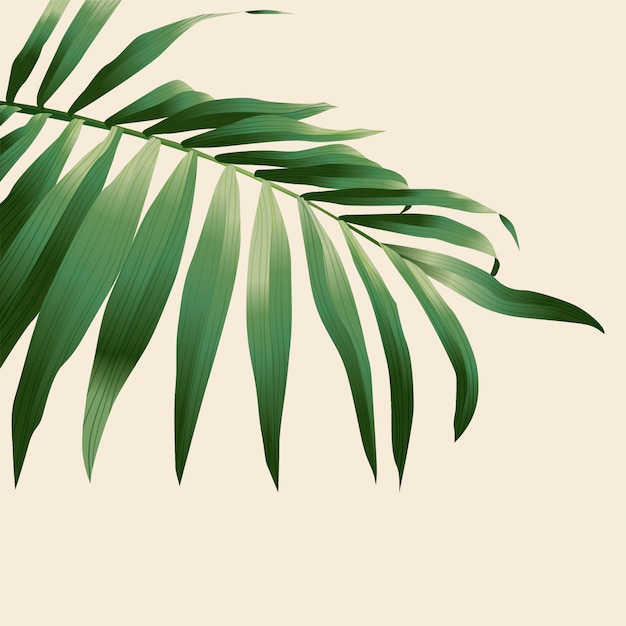 Tropical Leafs Background for Summer