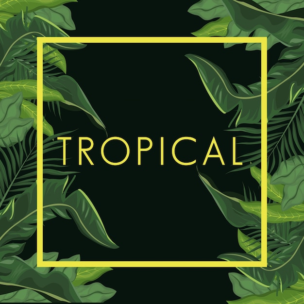 Poster di palma tropicale lascia