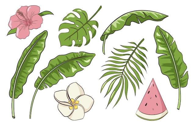 ベクトル 熱帯の葉と花のセット。手描きのエキゾチックな植物や花のコレクション。バナナ、ヤシとモンステラの葉、ハイビスカス、プルメリアとバニラの花、スイカのスライス。プレミアムベクトル