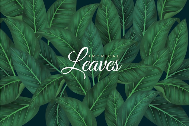 Vector tropical leaves background design