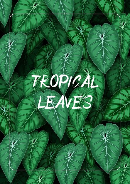 Tropical leaves background with jungle plants