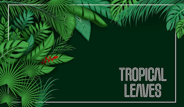 Tropical leaves background with jungle plants