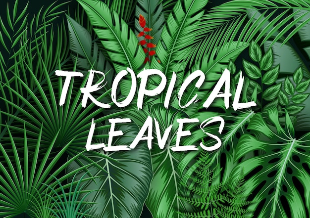 Vector tropical leaves background with jungle plants