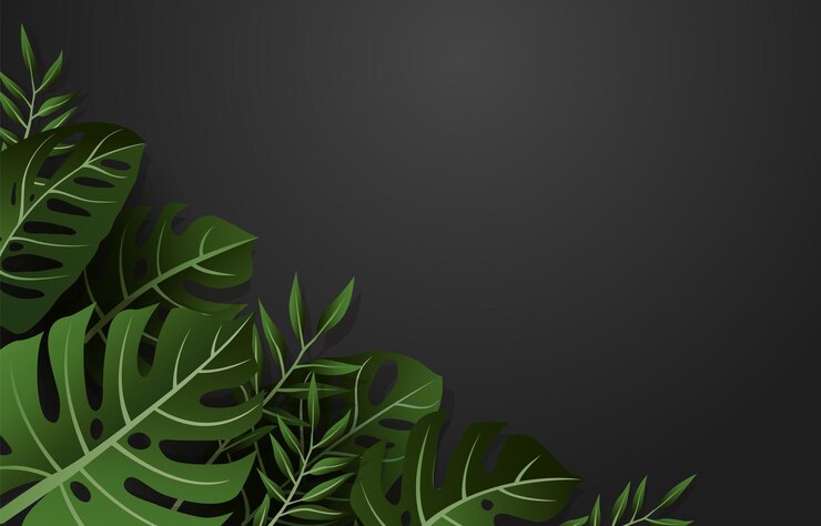 Вектор тропические листья фон с monstera deliciosa и adansonii