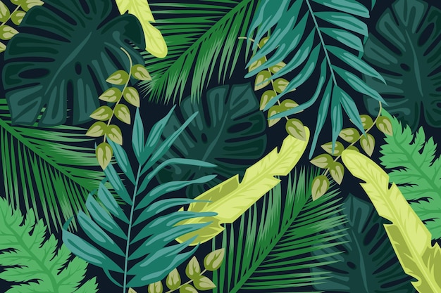 Tropical leaves background