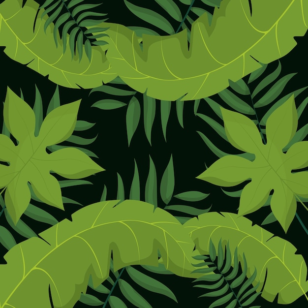 Tropical leaves background