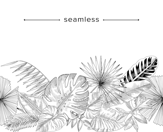 Modello senza cuciture di rami e foglie tropicali, sfondo doodle. composizione decorativa nella foresta pluviale, bordo disegnato a mano
