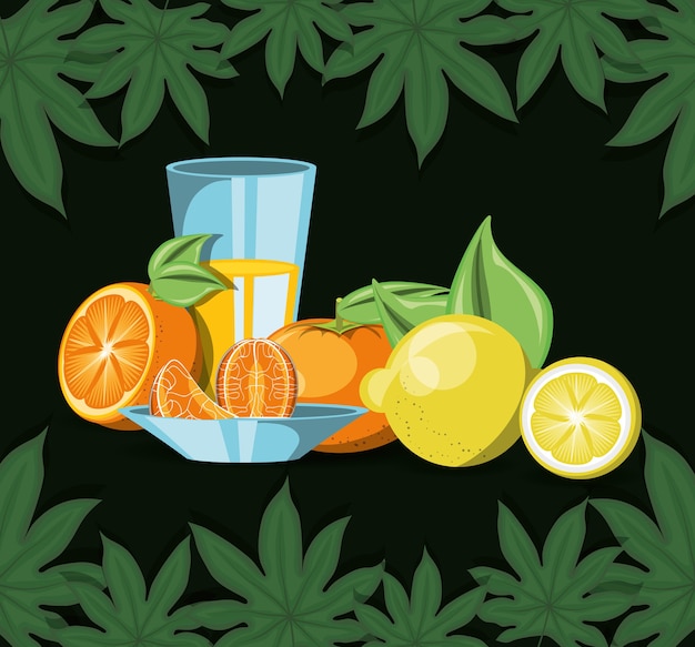 Vector tropical leaves and citric fruits and glass with juice