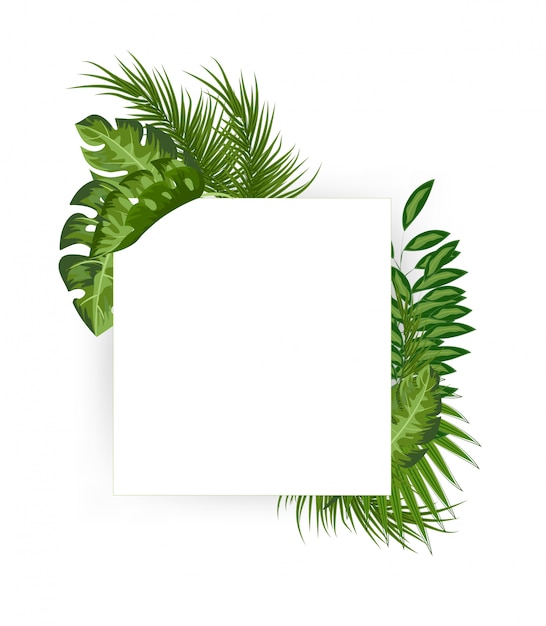 Tropical leaves collection 