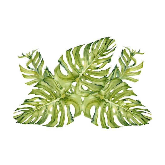 Tropical leaves composition with monstera and palm tree leaves Summer watercolor illustratiow