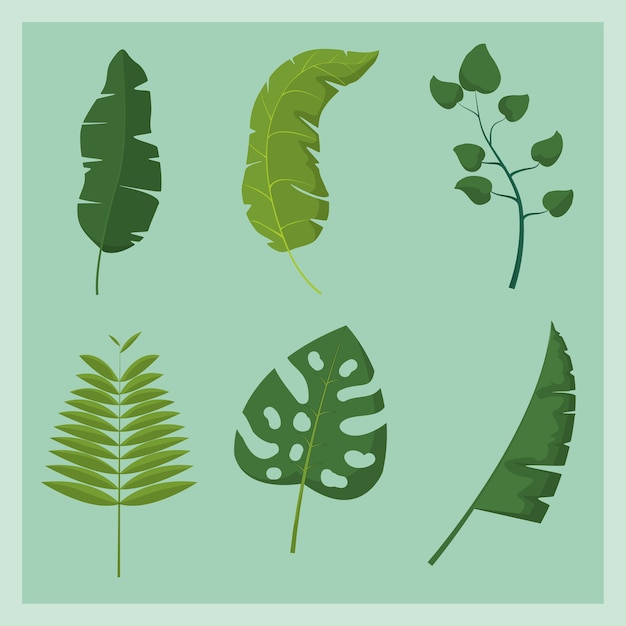 Tropical leaves design