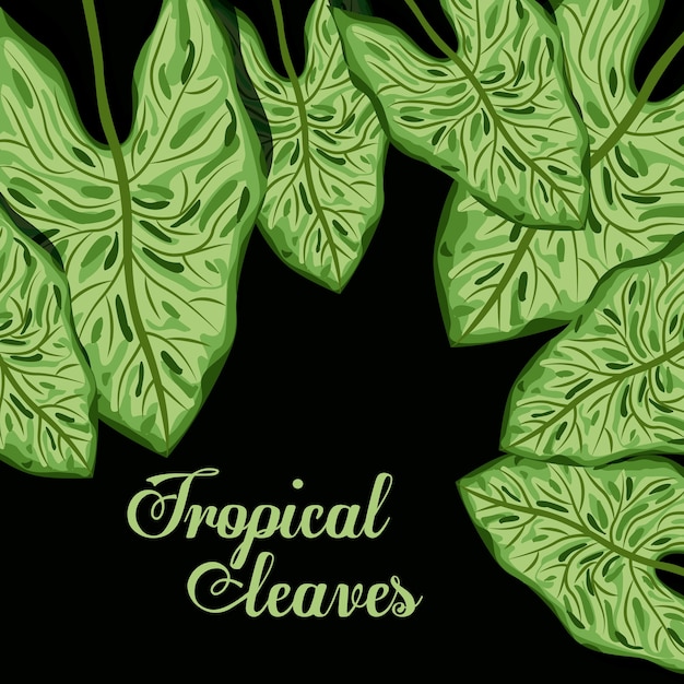 Tropical leaves design