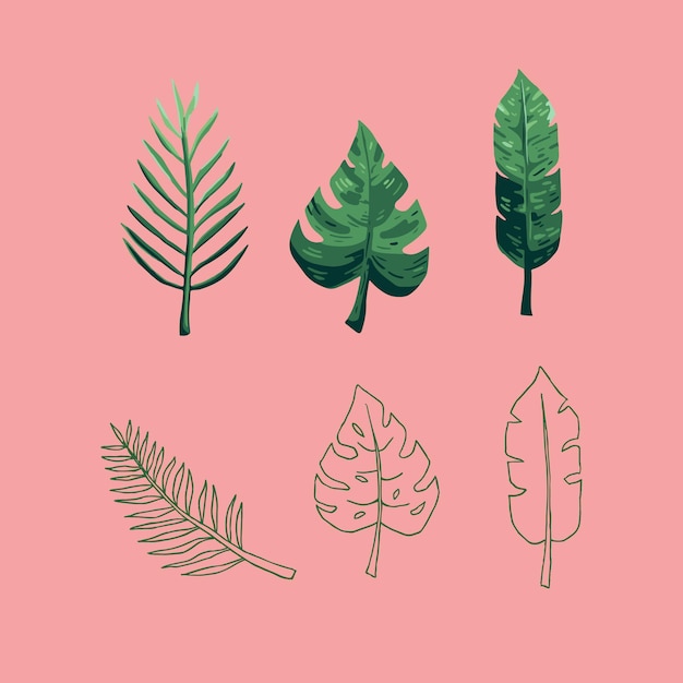 Tropical leaves flat lineart vector illustration pack perfect for holiday, beach content product