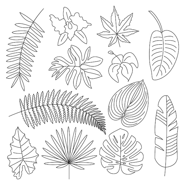 Tropical leaves floral tropical elements outline icons