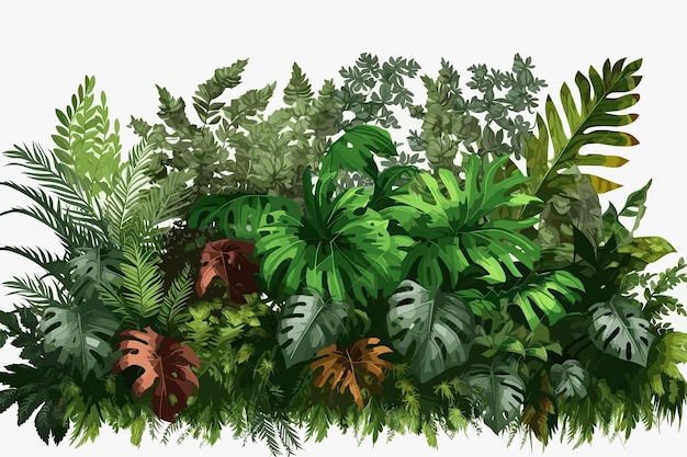 Vettore foglie tropicali fogliame pianta cespuglio composizione floreale natura sfondo isolato su sfondo bianco