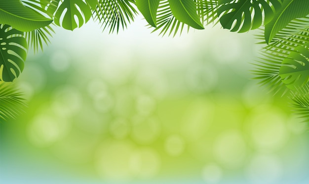 Vector tropical leaves and frame isolated bokeh background