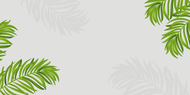 Тропические листья кадра. Лето Тропическая пальма на сером фоне с пространства для текста. Летнее настроение, тропический фон пустым.