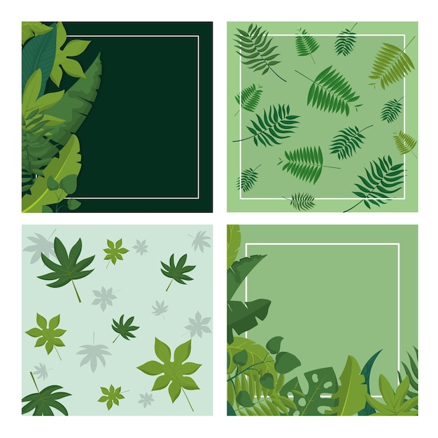 Tropical leaves frame