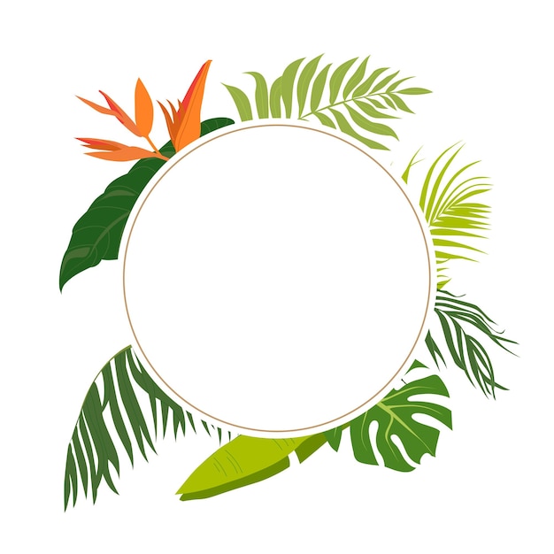 Vector tropical leaves frame