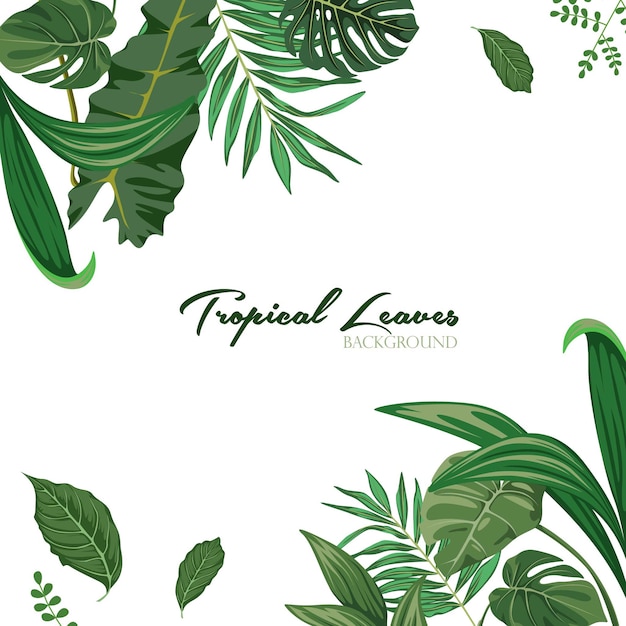 Vector tropical leaves frame