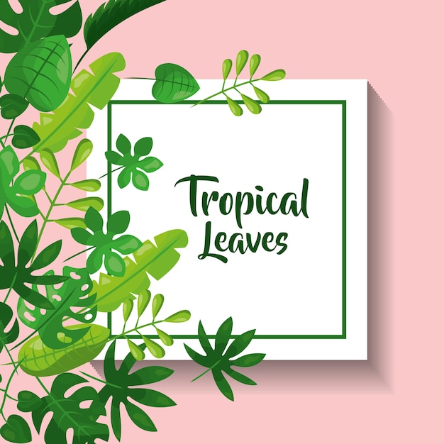 Tropical leaves greeting card natural foliage frond decoration