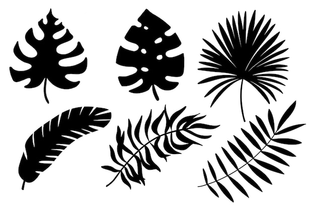 Tropical leaves Hand drawn jungle leaf set Vector exotic monstera floral decorative set