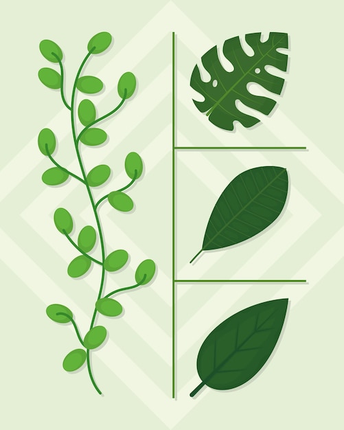 Vector tropical leaves icon set design