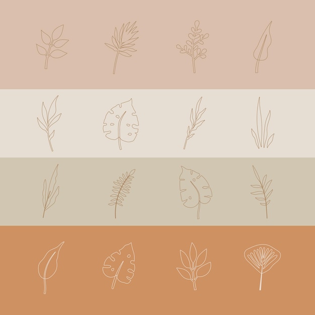 落書きスタイルの熱帯の葉。ベクトル手描き線デザイン要素。エキゾチックな夏の植物画。モンステラの葉、ヤシ、葉。