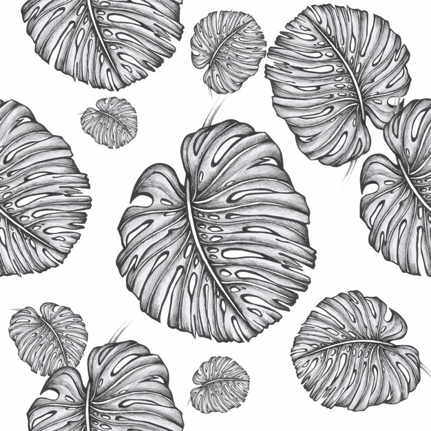 Tropical leaves monstera pattern