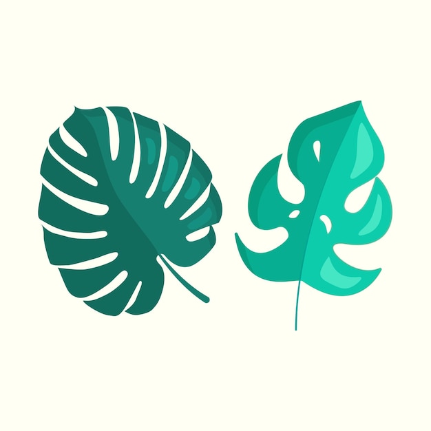 Tropical Leaves Monstera Vector illustration