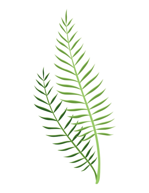 Tropical leaves plant exotic foliage green decorative jungle plant vector hand drawn botanical graphic element