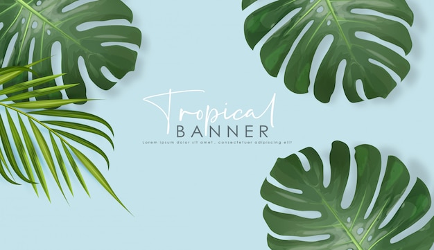 Vector tropical leaves realistic, summer, exotic blue background