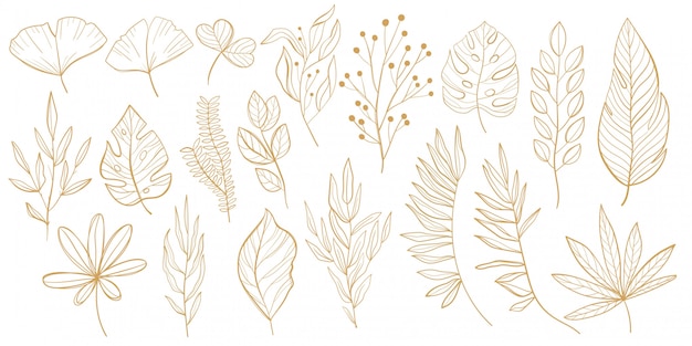 Tropical leaves set. palm, fan palm, monstera, banana leaves in line style. sketches of tropical leaves for design.